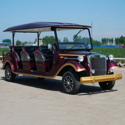 Brand new 2024 Electric Solar Powered golf cart work